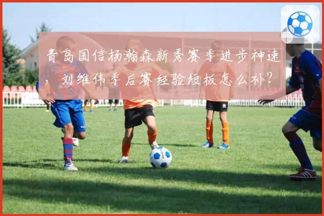青岛国信杨瀚森新秀赛季进步神速，刘维伟季后赛经验短板怎么补？
